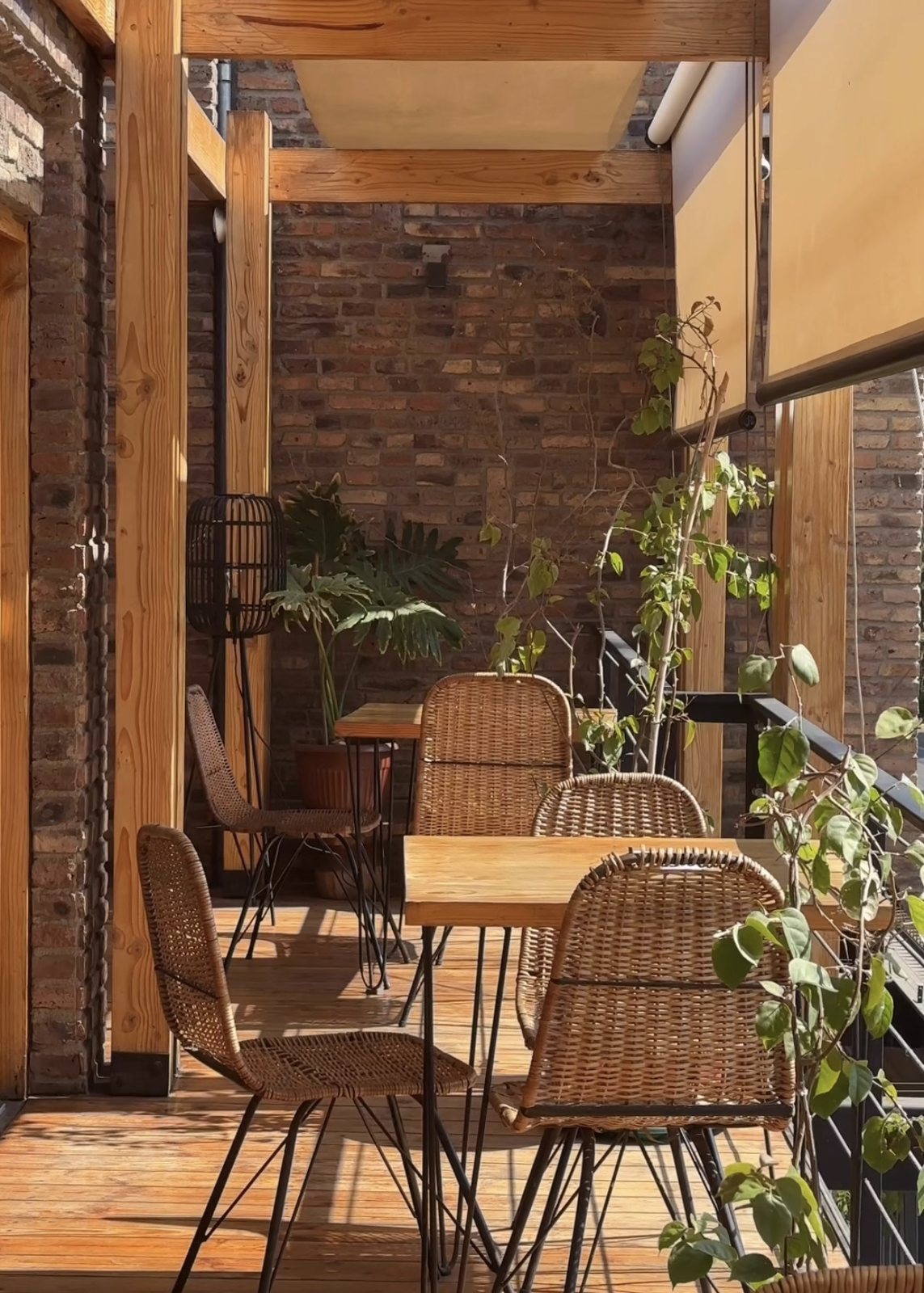 Terraza de la Cafetería Masitas con plantas