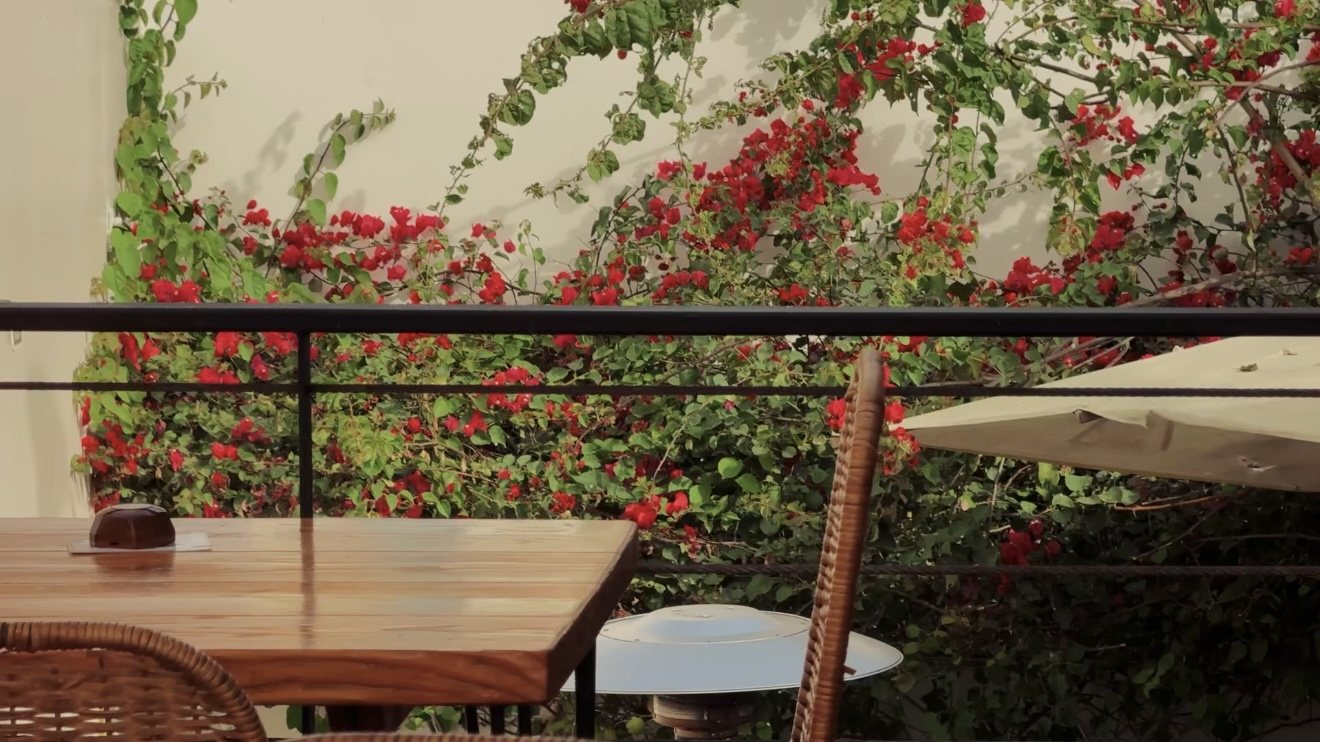 Terraza de Masitas con buganvilias